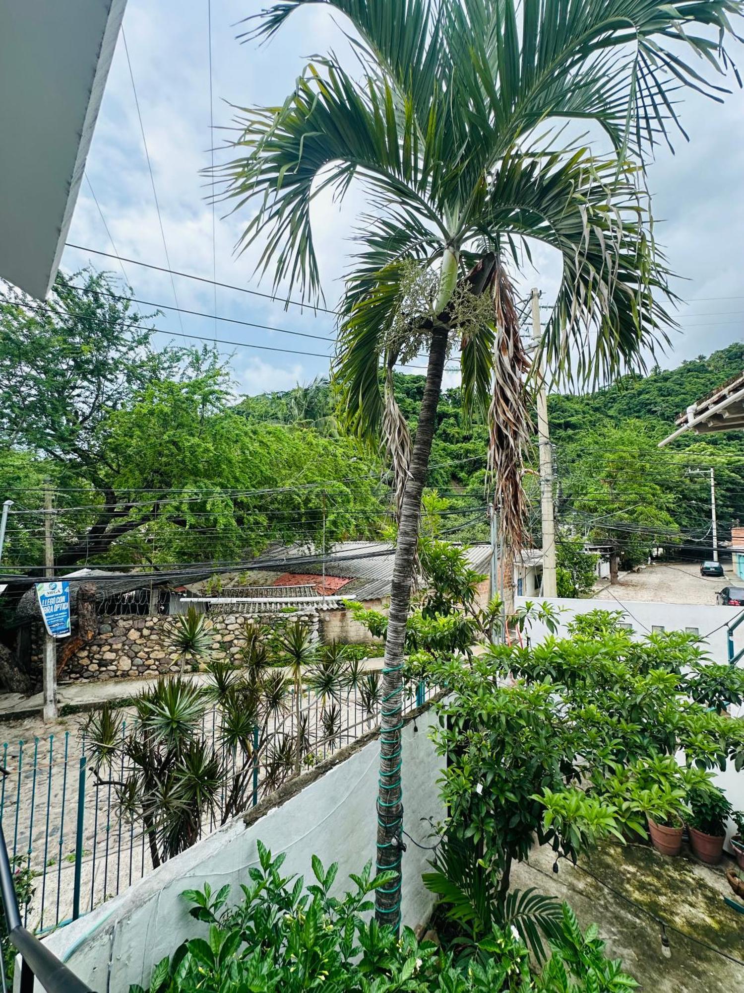 Loft Rio Apartment Puerto Vallarta Exterior photo